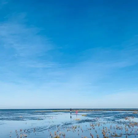 Deichstube * Friedrichskoog